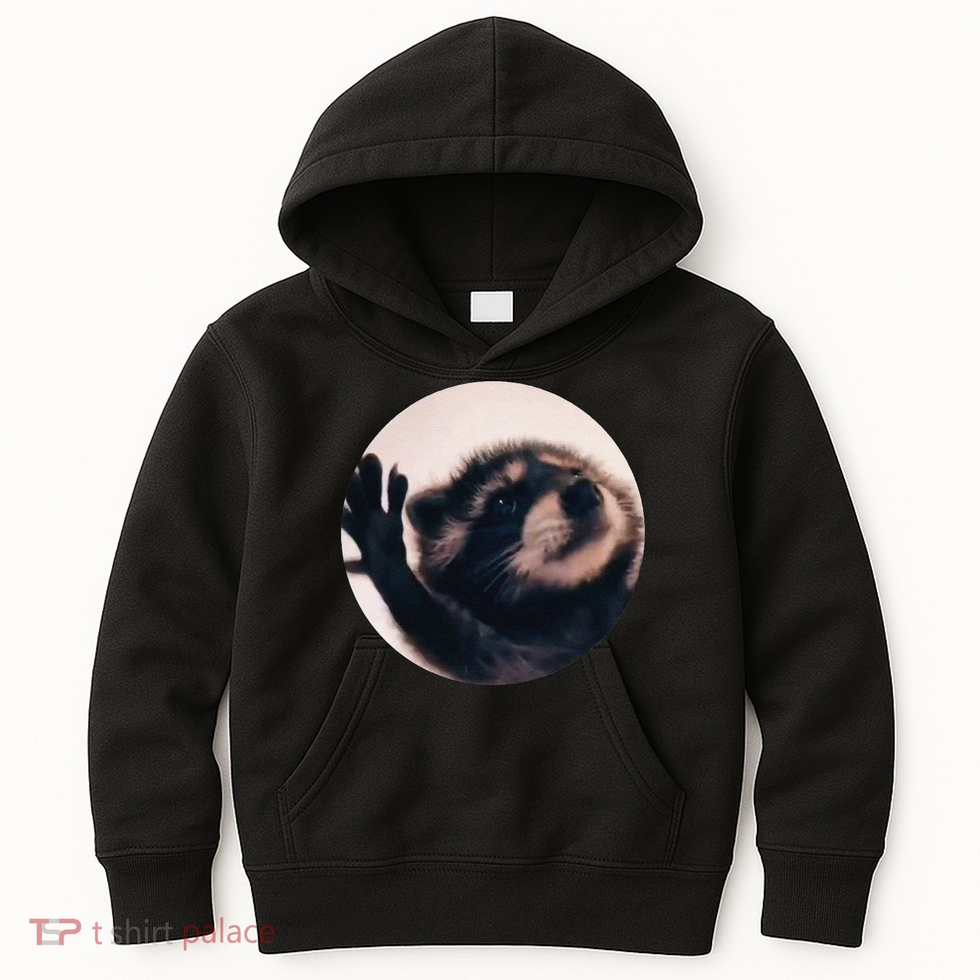 Pedro Pedro Racoon Dance Popular Internet Meme Racoon Day Kids Hoodie