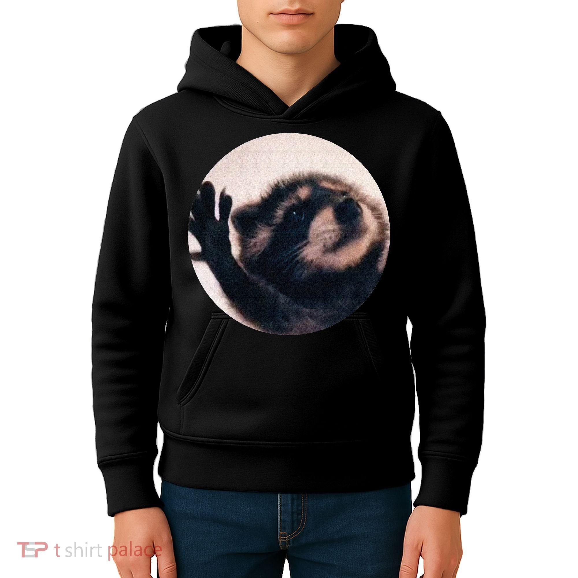 Pedro Pedro Racoon Dance Popular Internet Meme Racoon Day Kids Hoodie