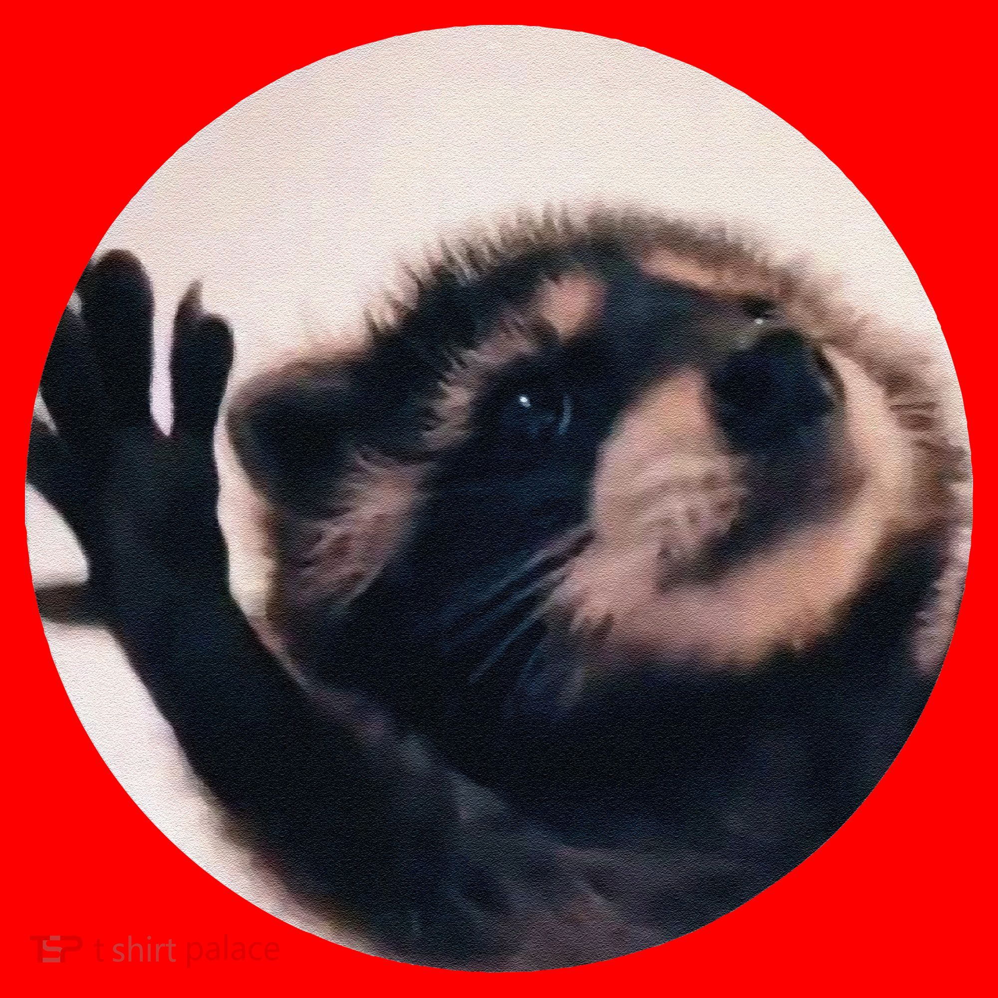 Pedro Pedro Racoon Dance Popular Internet Meme Racoon Day Santa Hat