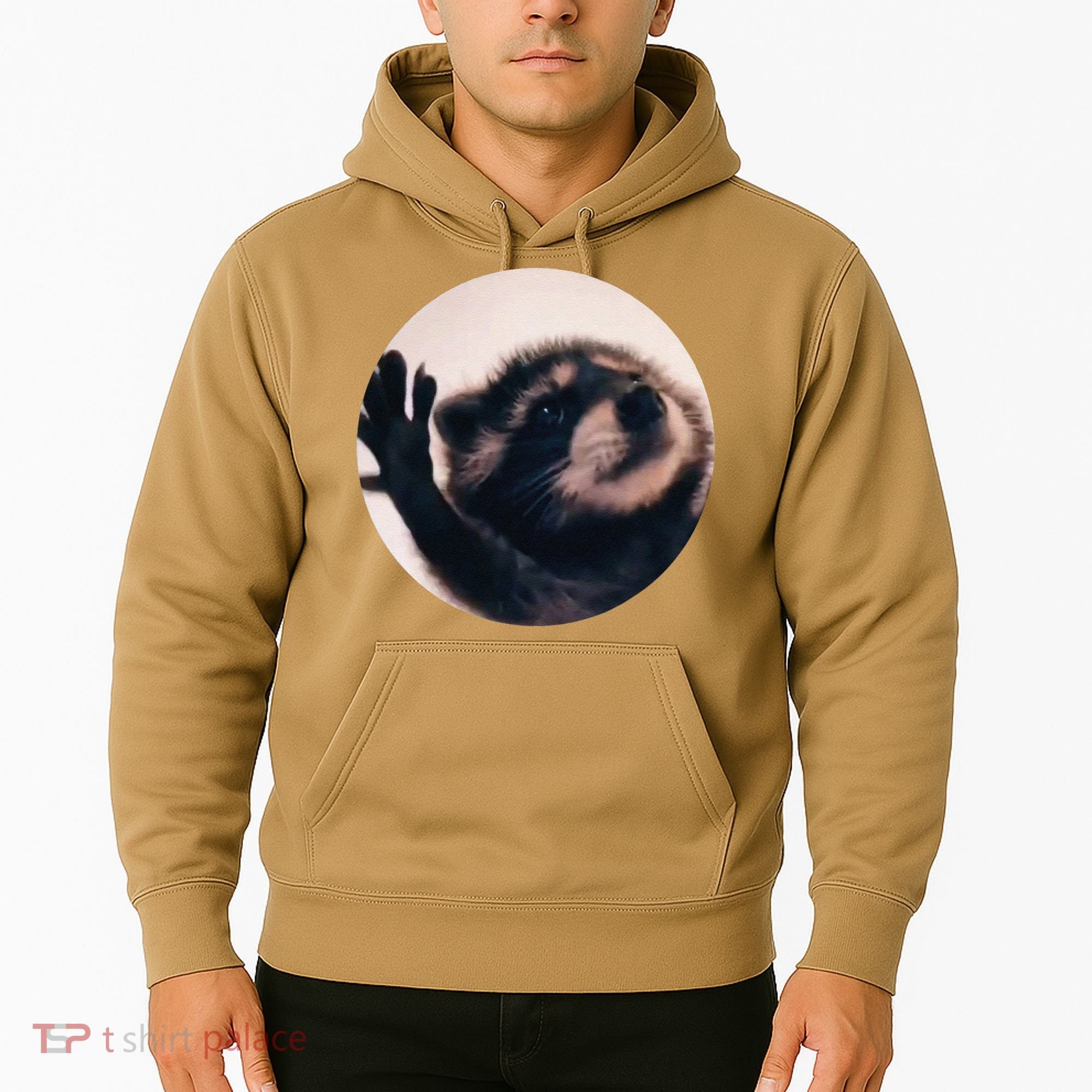 Pedro Pedro Racoon Dance Popular Internet Meme Racoon Day Hoodie