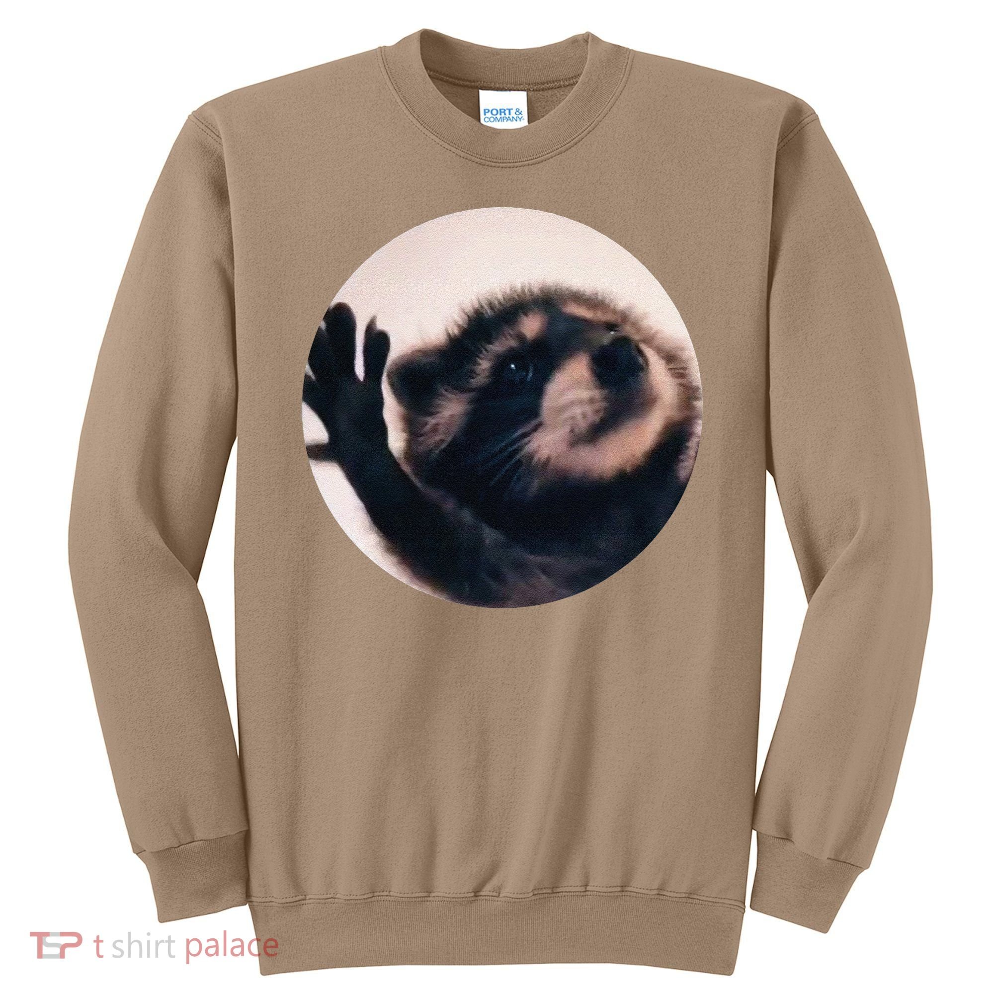 Pedro Pedro Racoon Dance Popular Internet Meme Racoon Day Sweatshirt