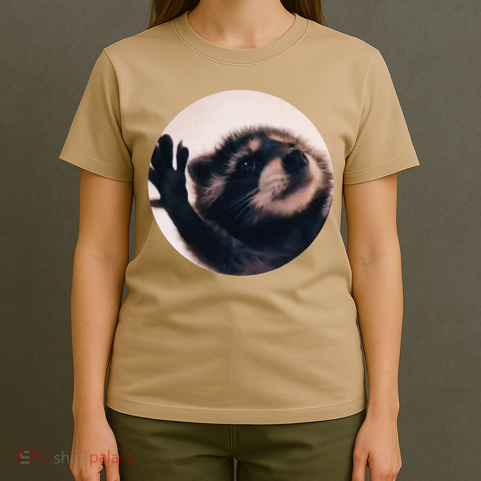 Pedro Pedro Racoon Dance Popular Internet Meme Racoon Day T-Shirt