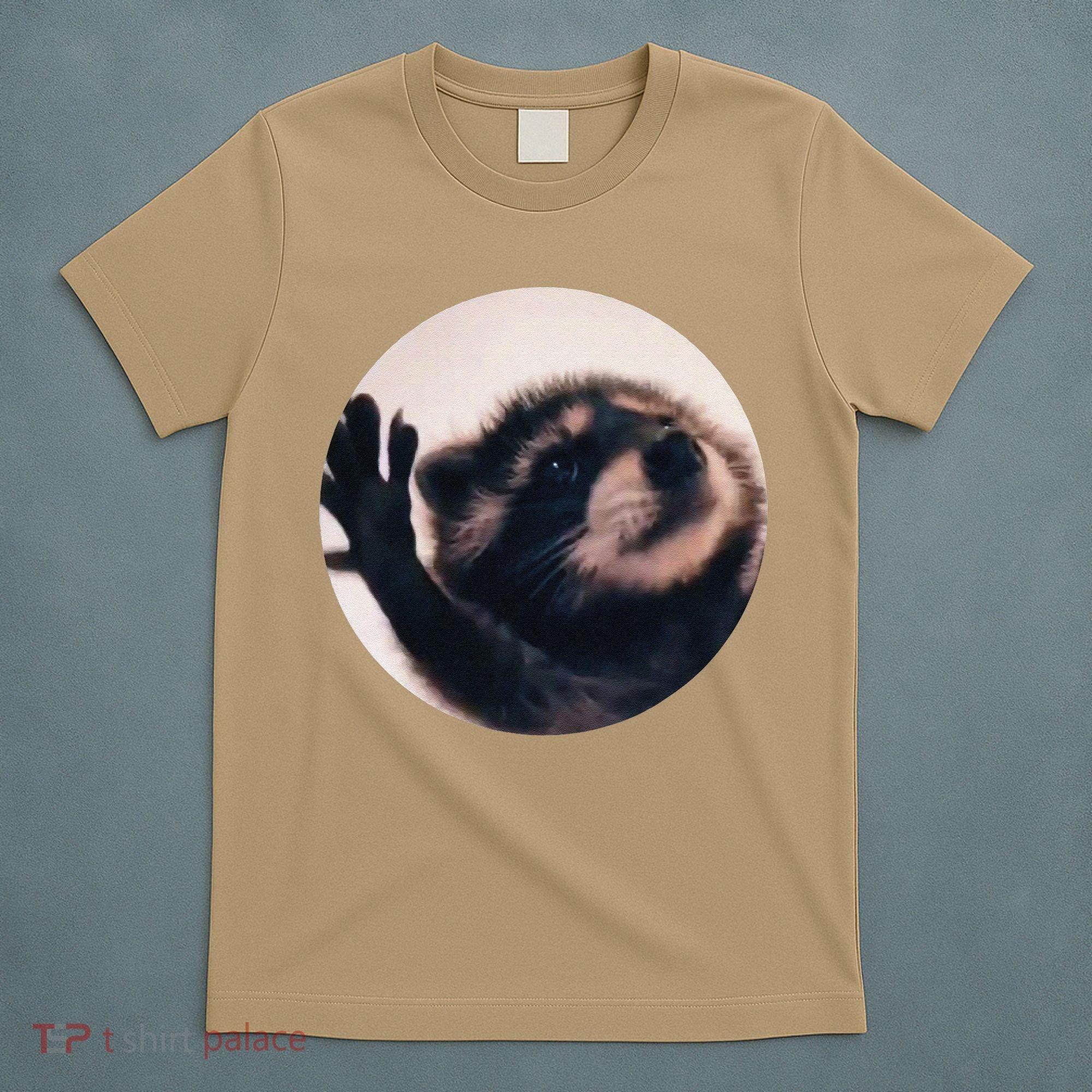 Pedro Pedro Racoon Dance Popular Internet Meme Racoon Day T-Shirt
