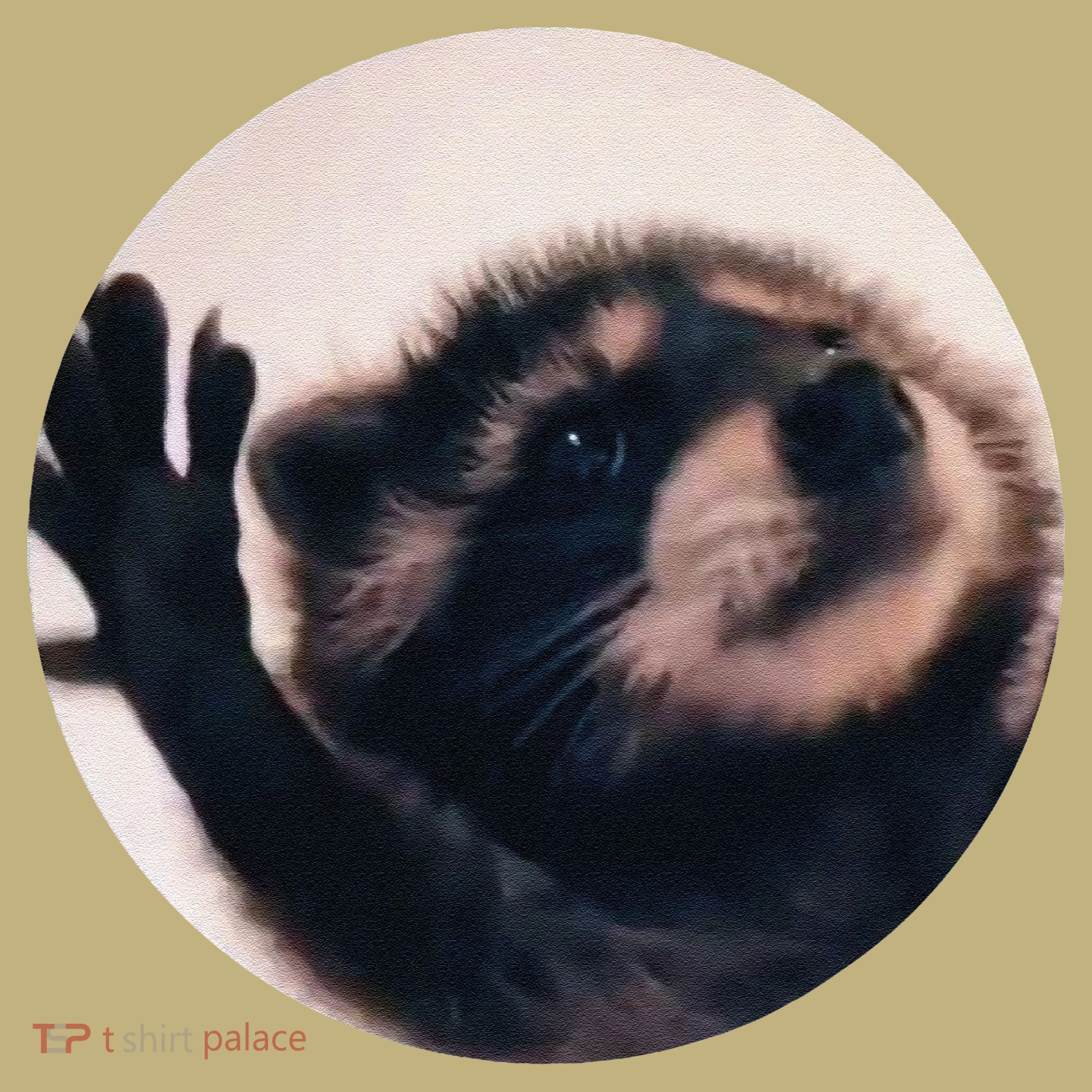Pedro Pedro Racoon Dance Popular Internet Meme Racoon Day Mousepad