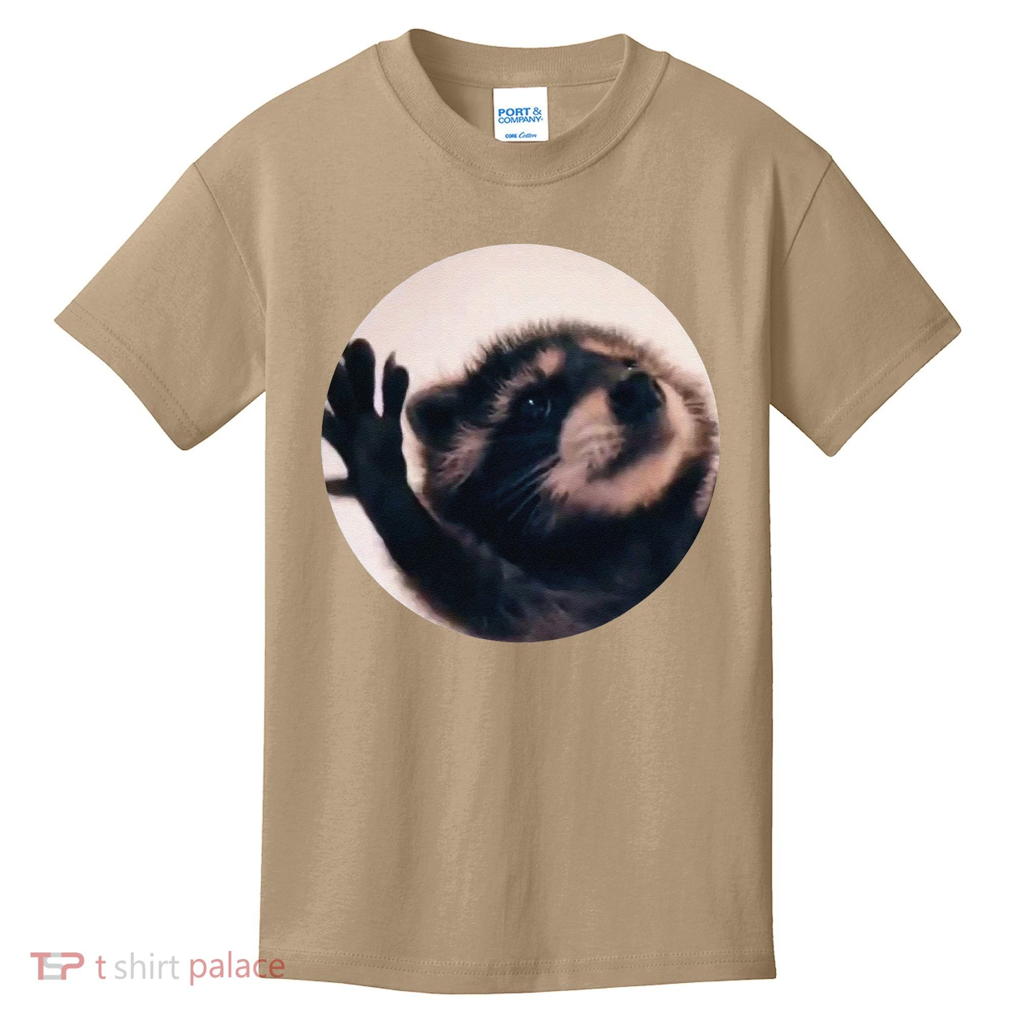 Pedro Pedro Racoon Dance Popular Internet Meme Racoon Day Kids T-Shirt