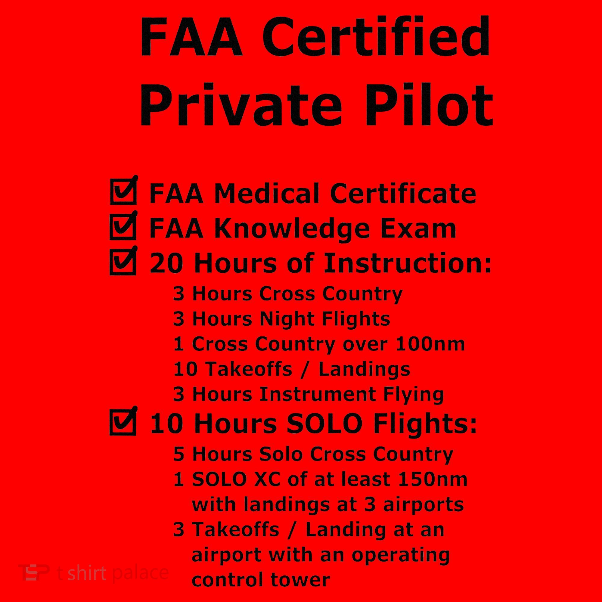 Private Pilot Requirements & Completion Checks Santa Hat