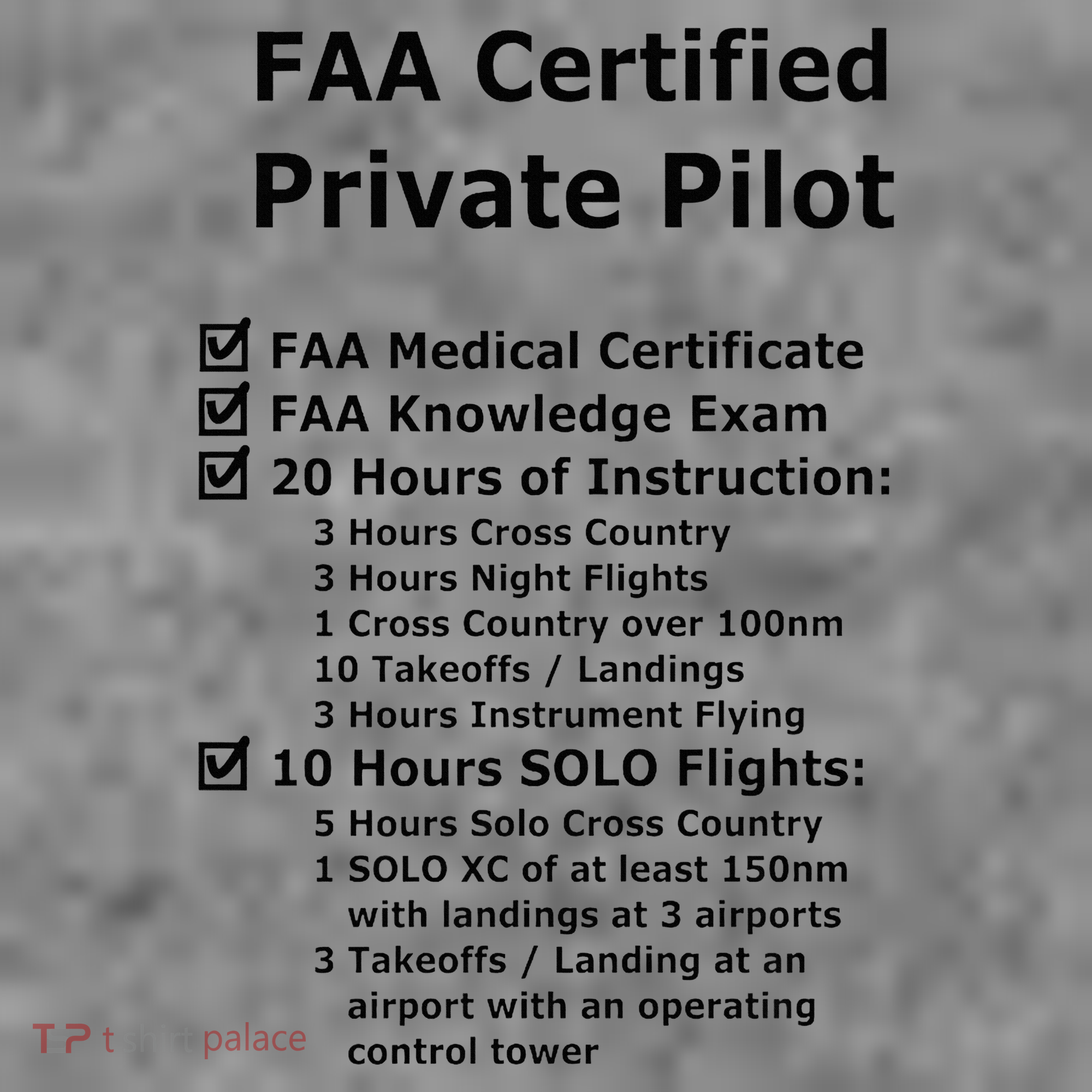 Private Pilot Requirements & Completion Checks Toddler Hoodie