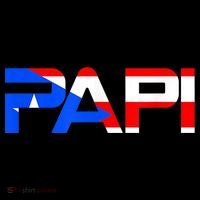 Papi Puerto Rico Flag Hoodie thumb 7
