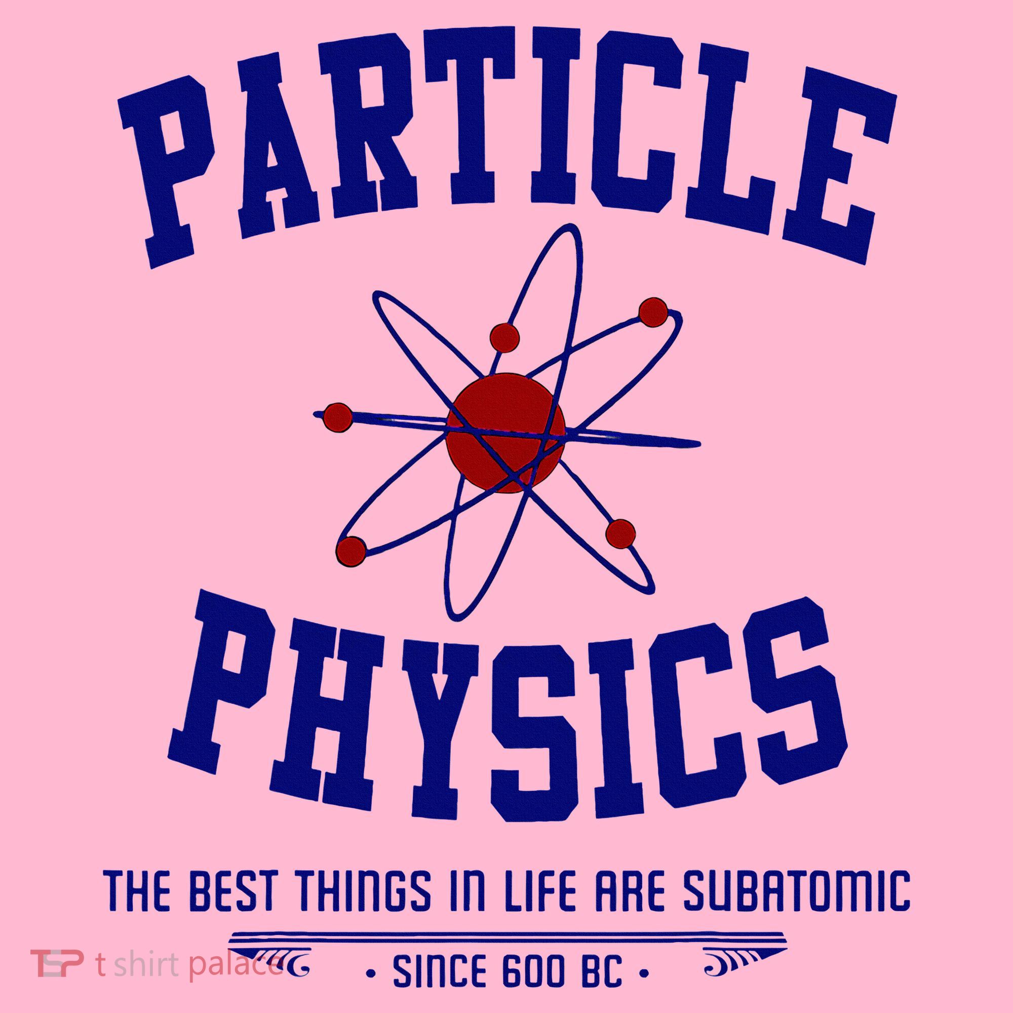 Particle Physics Science Pun Funny Physics Coaster