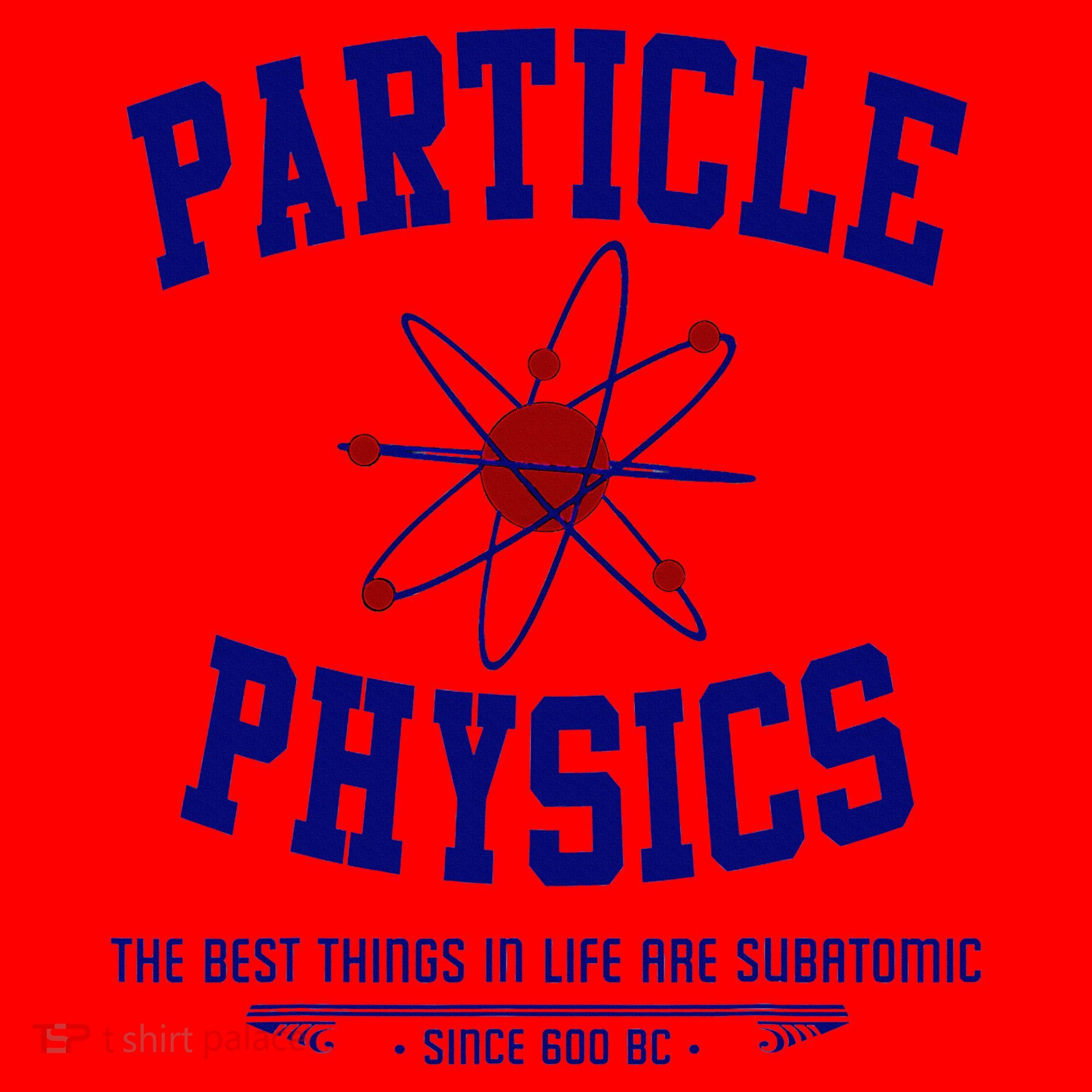 Particle Physics Science Pun Funny Physics Santa Hat