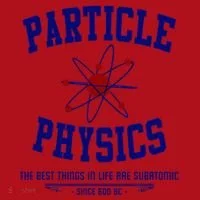 Particle Physics Science Pun Funny Physics Christmas Stocking thumb 1