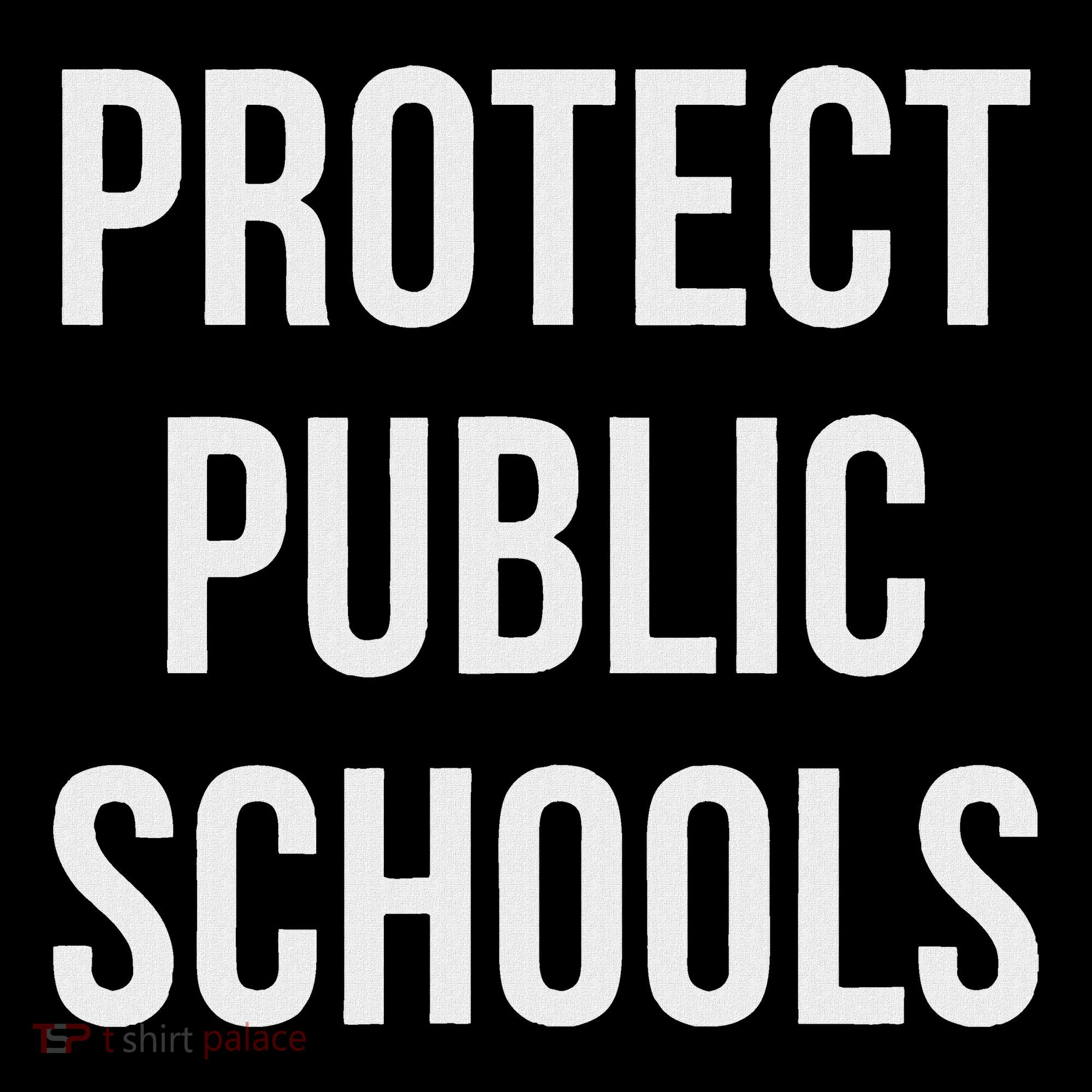 Protect Public Schools Ornament