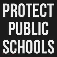 Protect Public Schools Kids Long Sleeve Shirt thumb 2