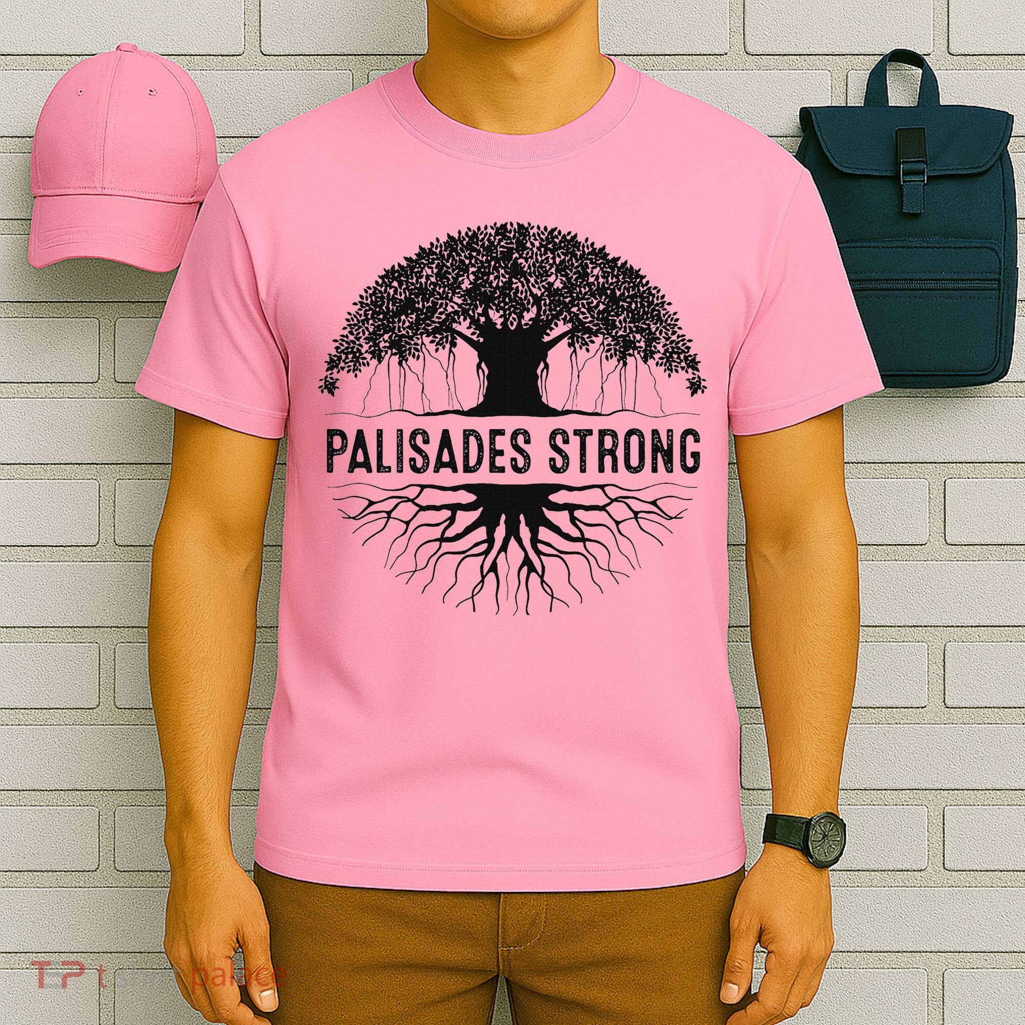 Pacific Palisades Strong California T-Shirt