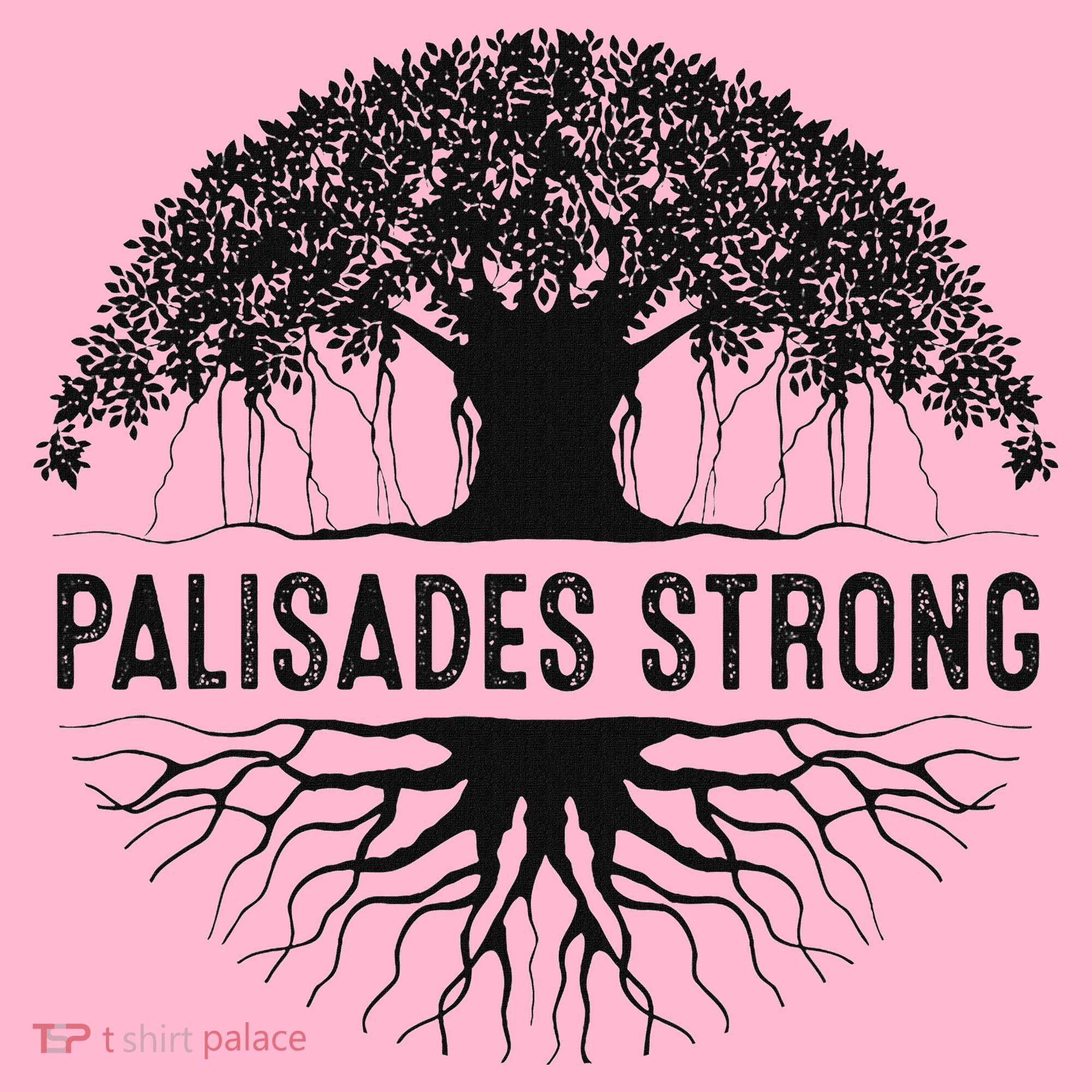 Pacific Palisades Strong California Toddler T-Shirt