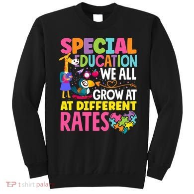 Paraeducator Paraprofessional SPED Teacher Special Education Sweatshirt