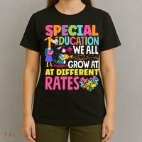 Paraeducator Paraprofessional SPED Teacher Special Education T-Shirt thumb 4