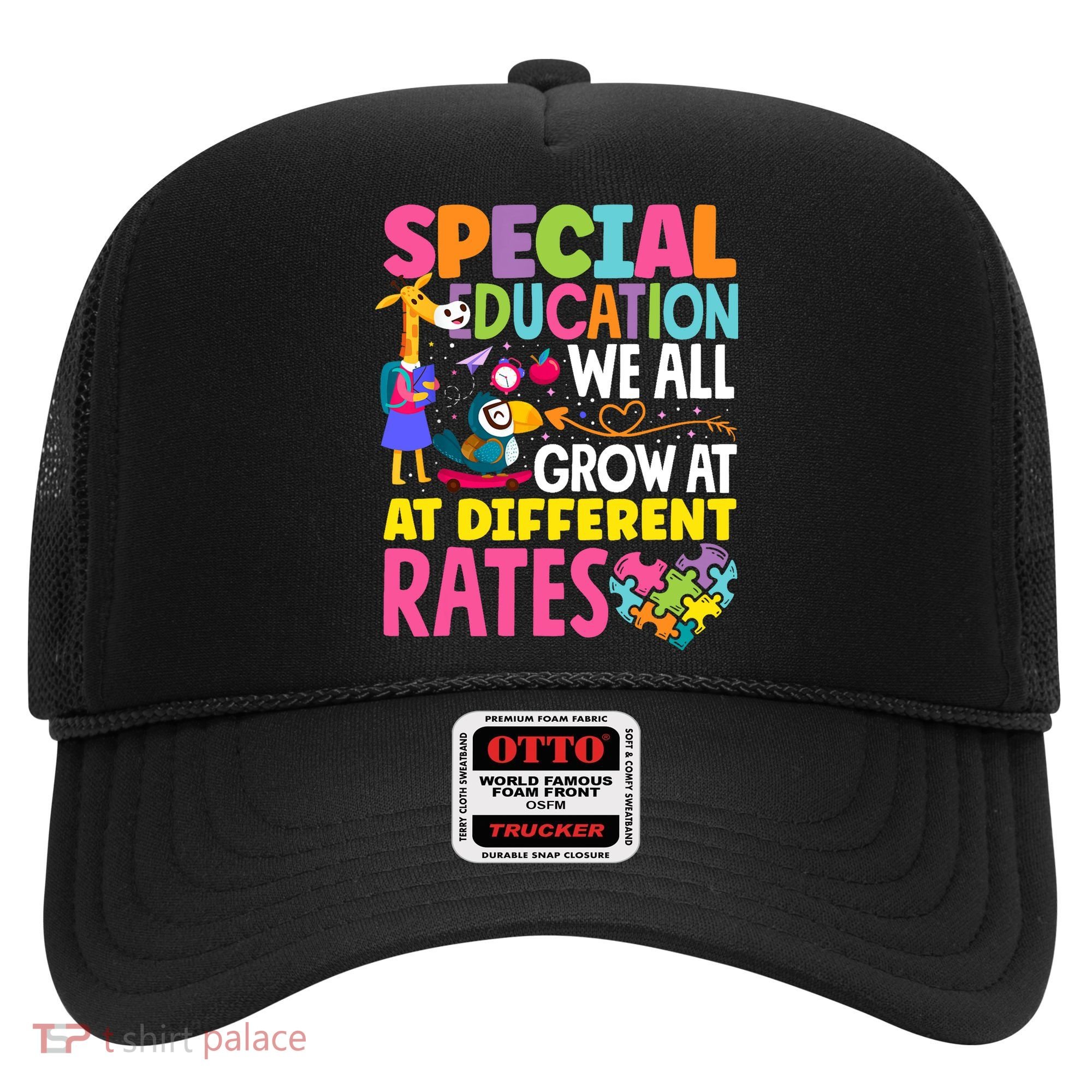 Paraeducator Paraprofessional SPED Teacher Special Education Hat