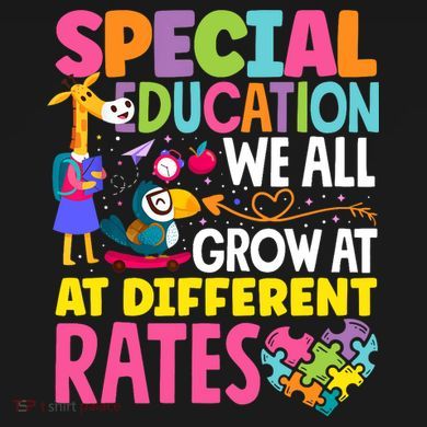 Paraeducator Paraprofessional SPED Teacher Special Education Women's Crop Top Tee