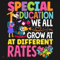 Paraeducator Paraprofessional SPED Teacher Special Education Women's Crop Top Tee thumb 4