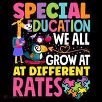Paraeducator Paraprofessional SPED Teacher Special Education Kids T-Shirt thumb 4