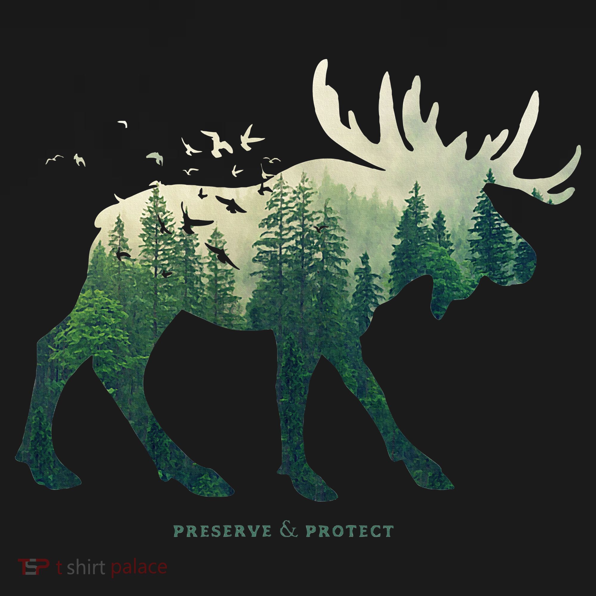 Preserve & Protect Vintage National Park Moose T-Shirt