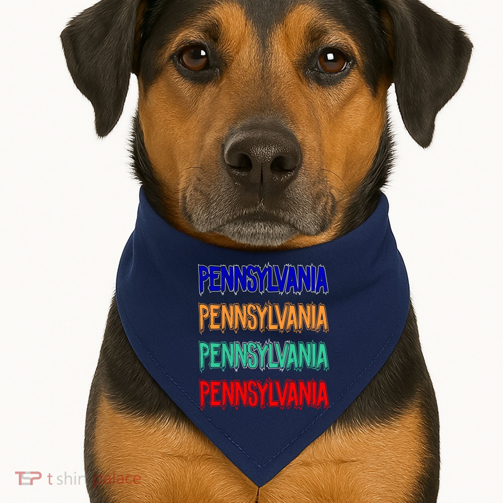 Pennsylvania Quad Logo USA-Made Doggie Bandana