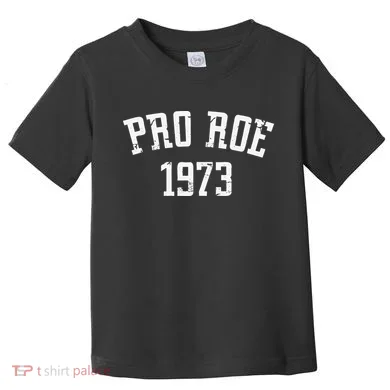 Pro Roe 1973 Distressed Toddler T-Shirt