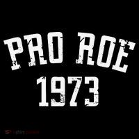 Pro Roe 1973 Distressed Visor thumb 3