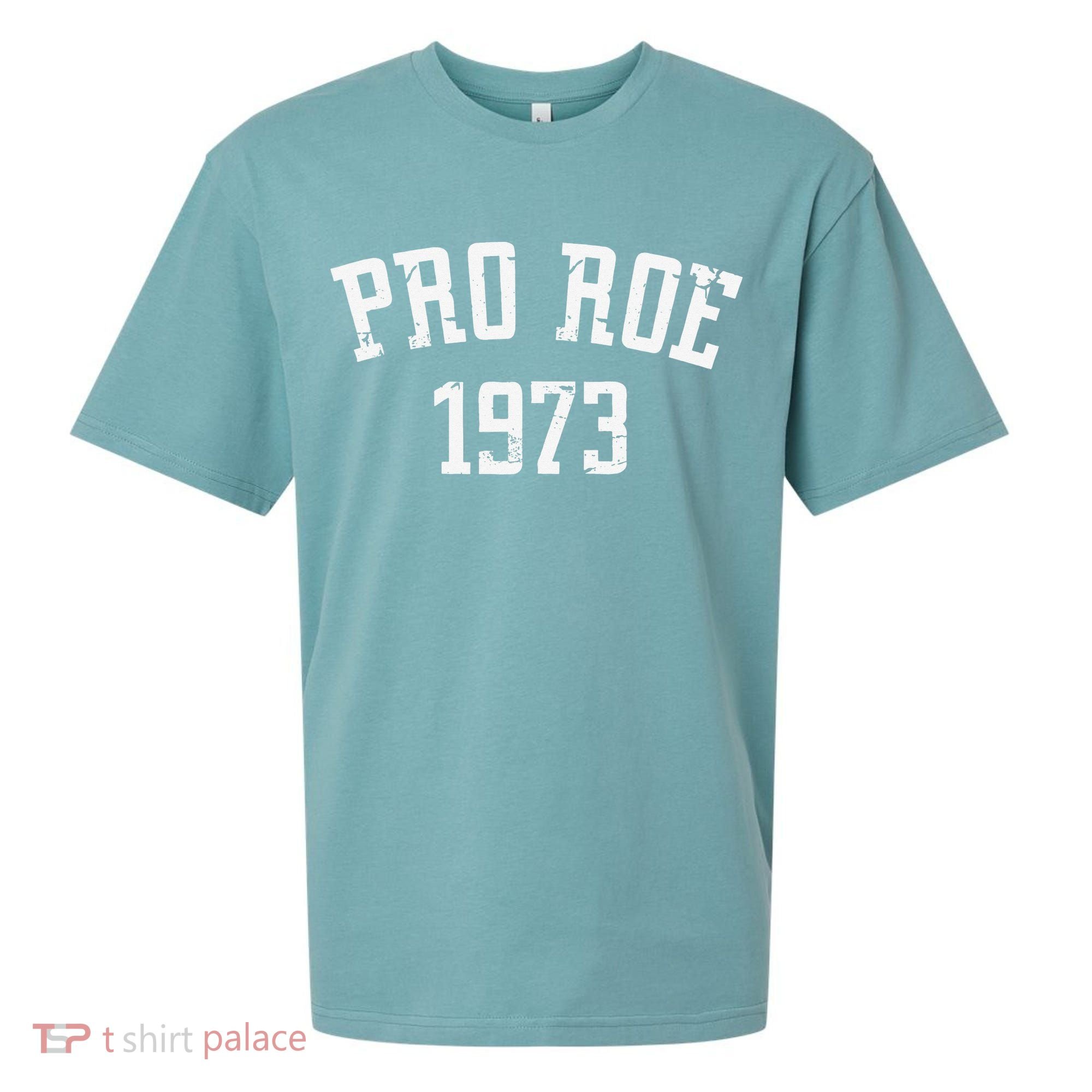 Pro Roe 1973 Distressed Sueded Cloud Jersey T-Shirt