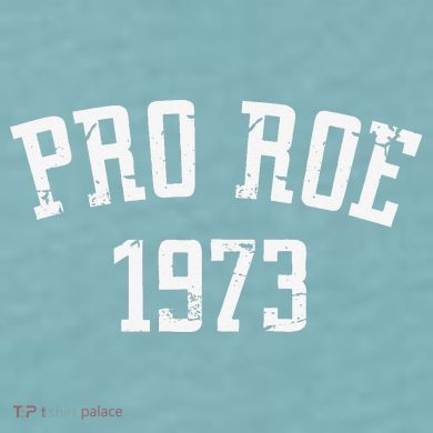 Pro Roe 1973 Distressed Sueded Cloud Jersey T-Shirt