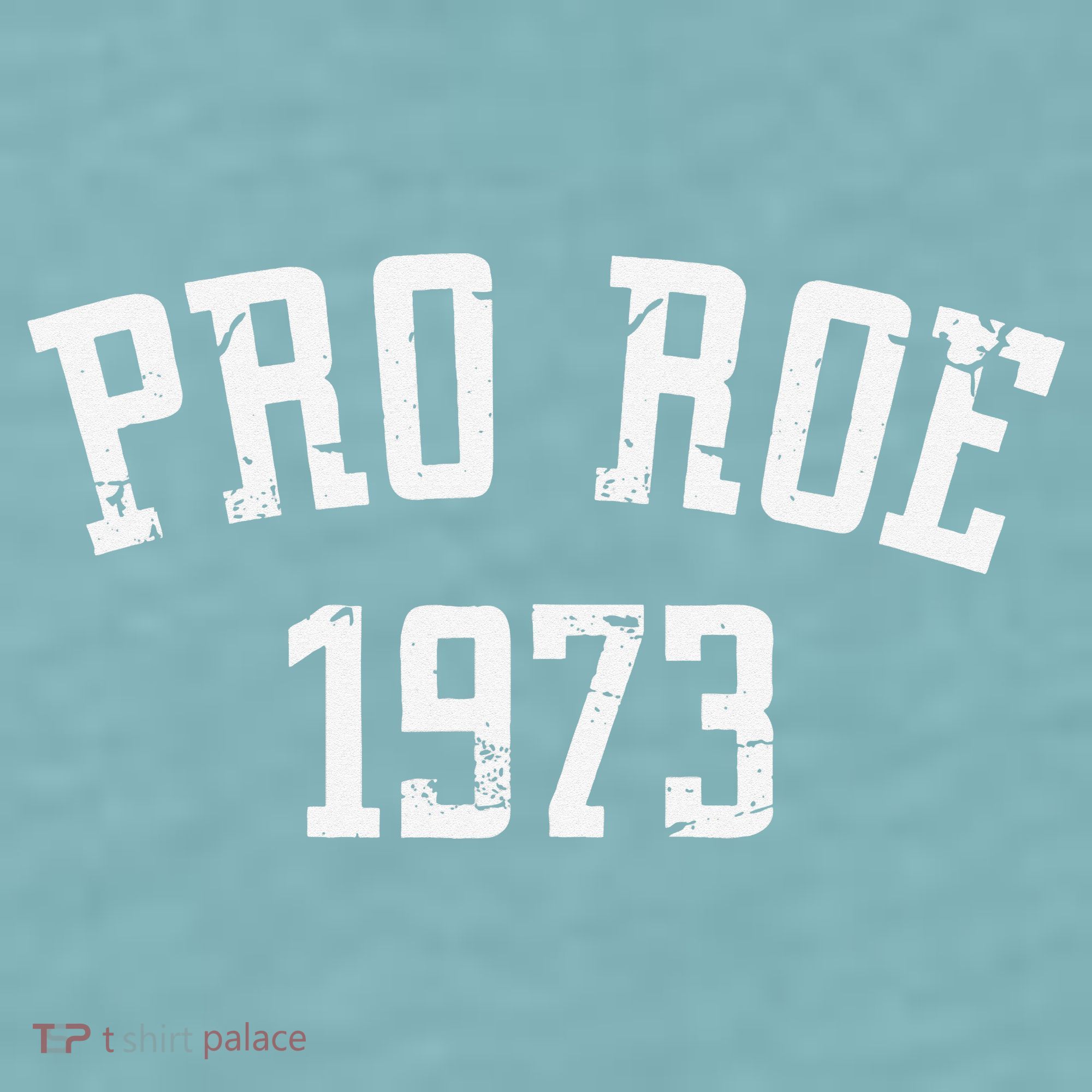 Pro Roe 1973 Distressed Sueded Cloud Jersey T-Shirt