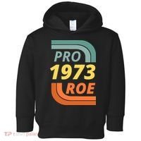 Pro Roe 1973 Roe Vs Wade Pro Choice Toddler Hoodie thumb 0