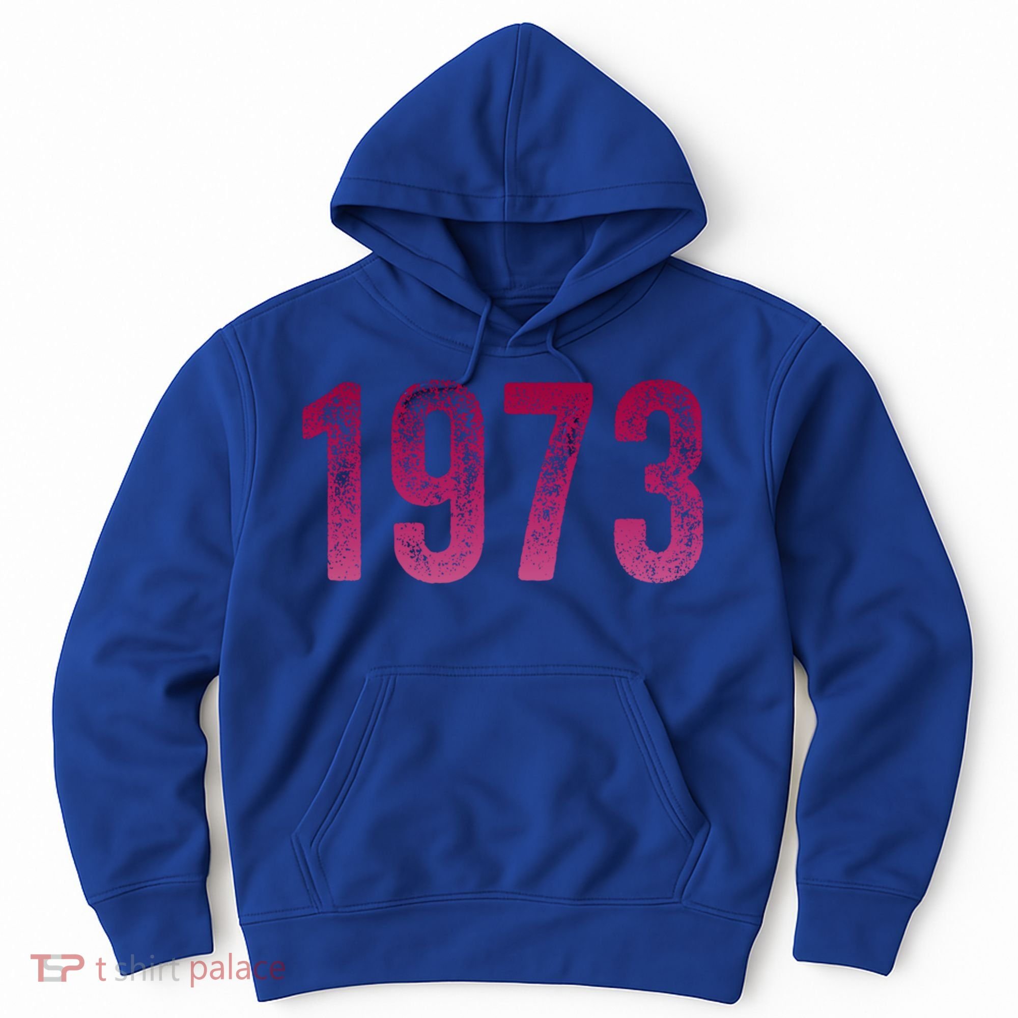 Pro Roe 1973 Gift Protect Roe V Wade Gift Cool Gift Hoodie