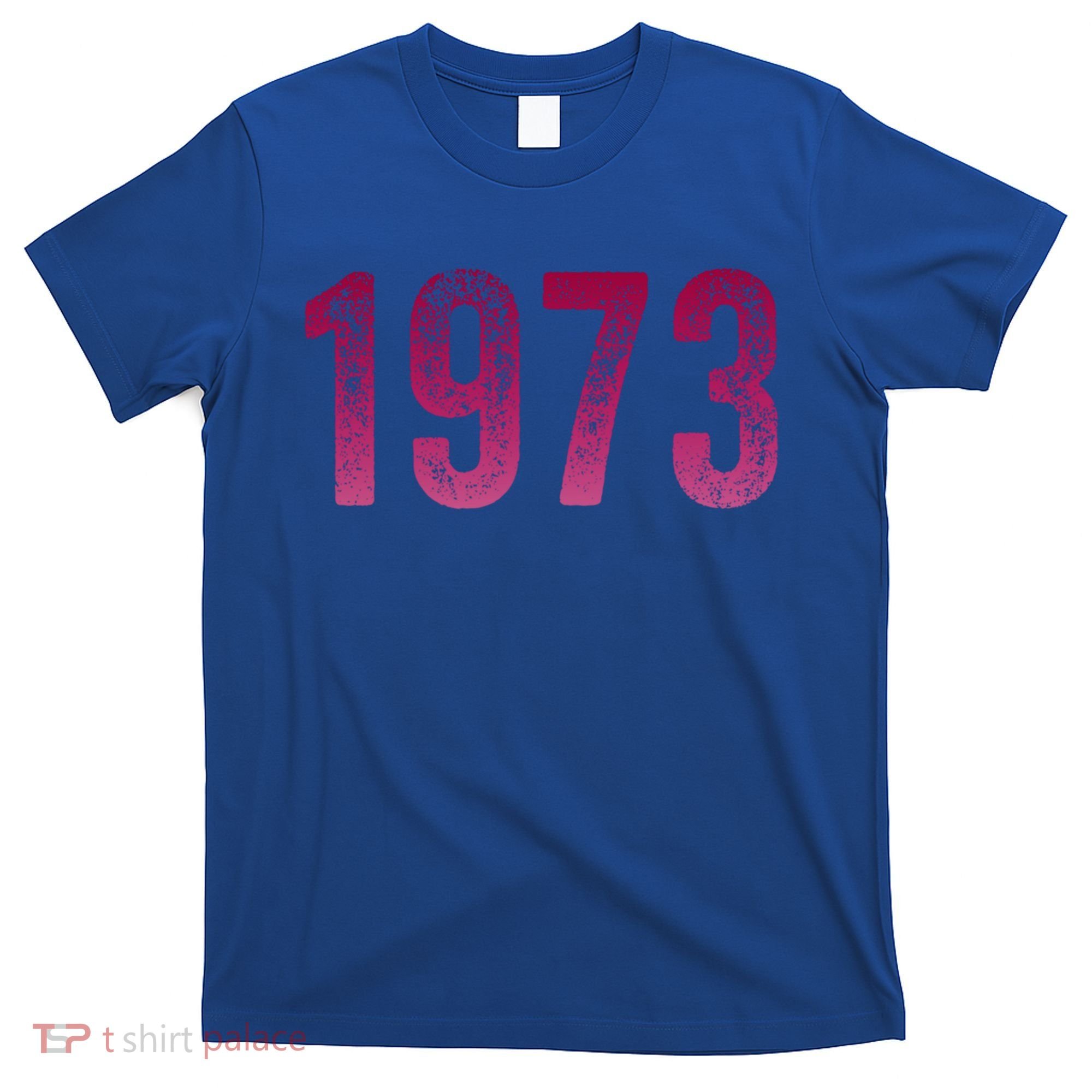 Pro Roe 1973 Gift Protect Roe V Wade Gift Cool Gift T-Shirt