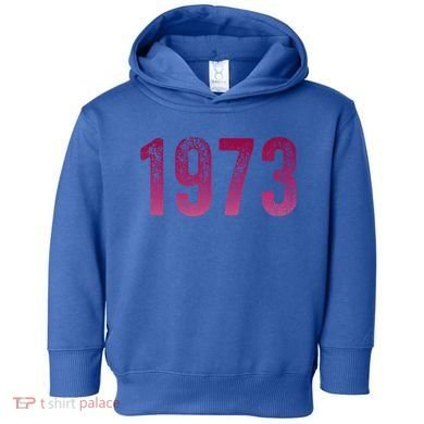 Pro Roe 1973 Gift Protect Roe V Wade Gift Cool Gift Toddler Hoodie