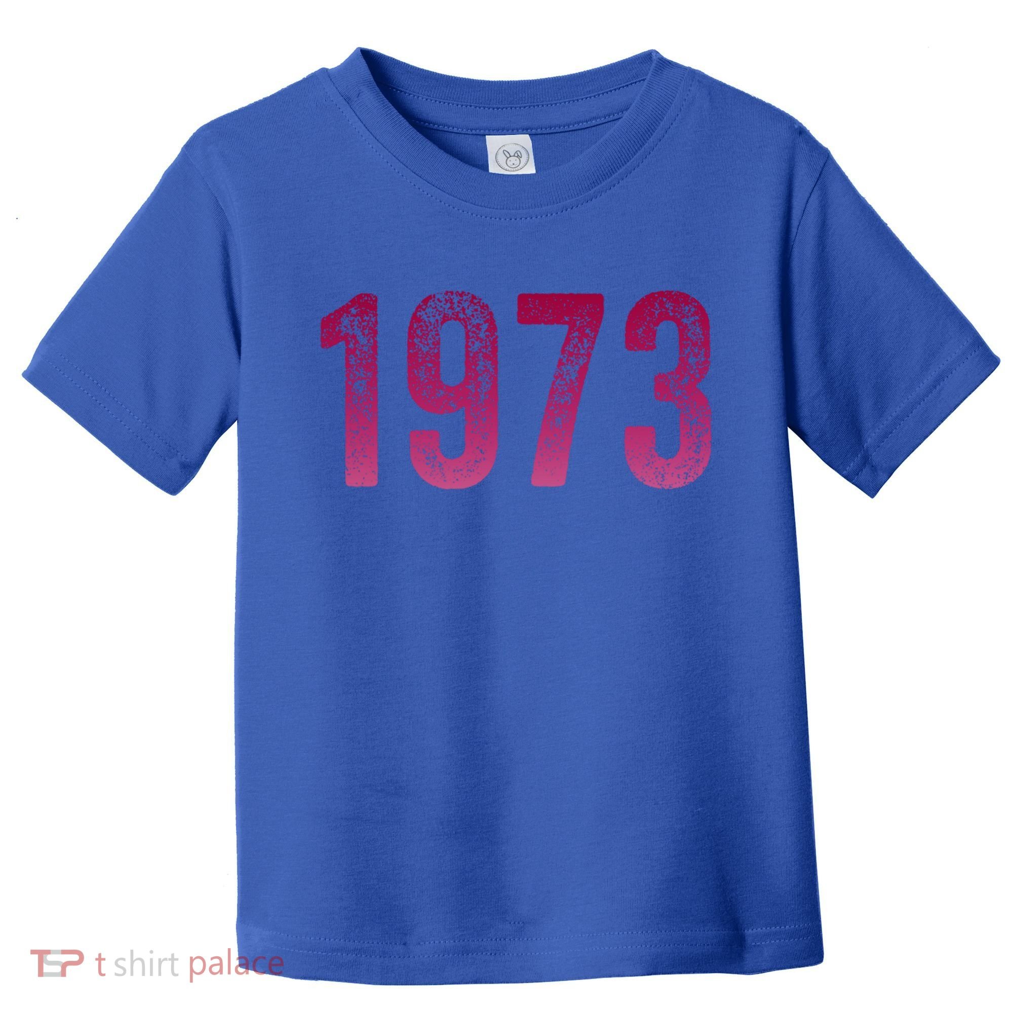 Pro Roe 1973 Gift Protect Roe V Wade Gift Cool Gift Toddler T-Shirt