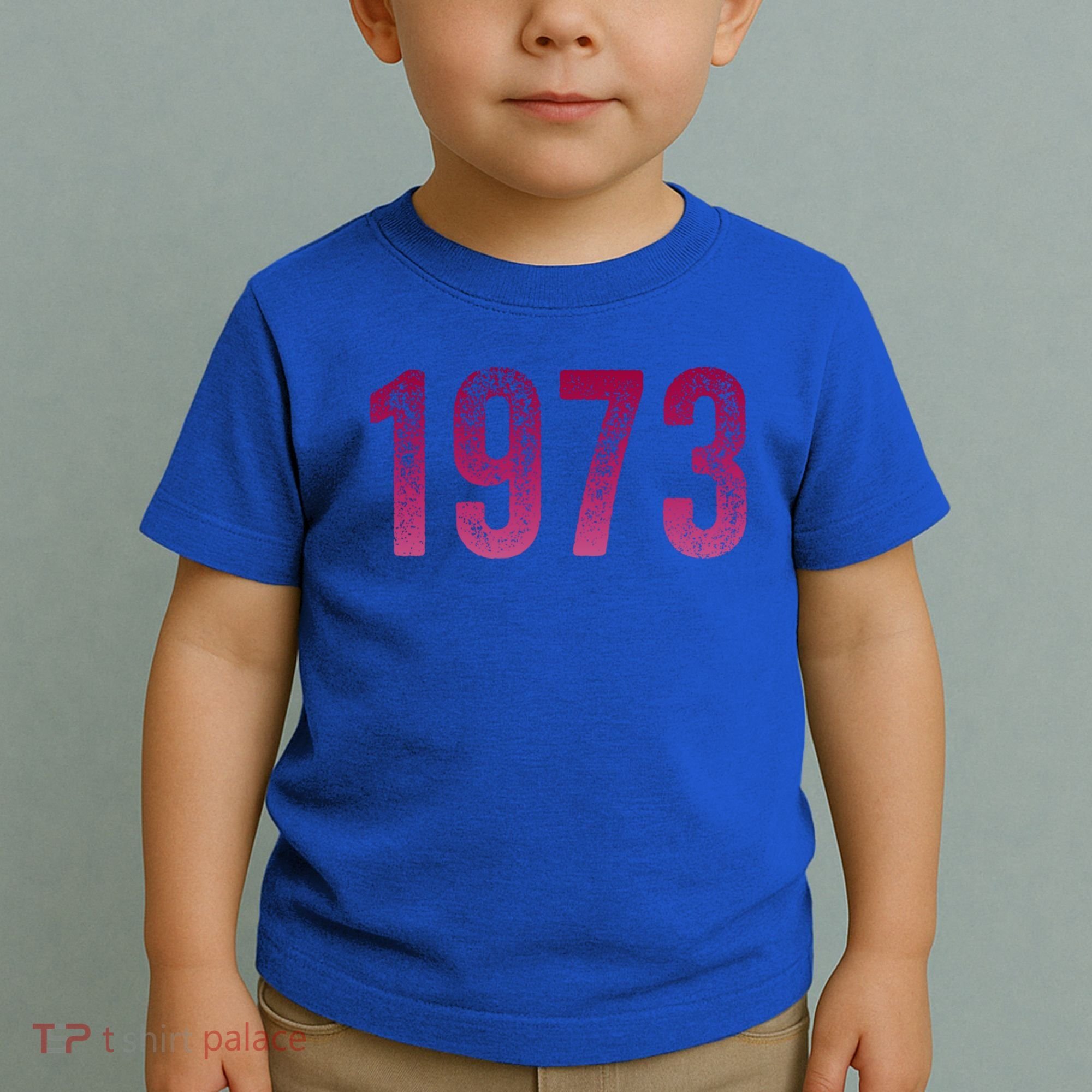 Pro Roe 1973 Gift Protect Roe V Wade Gift Cool Gift Toddler T-Shirt