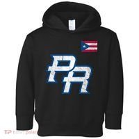 Puerto Rico Baseball Flag Pride Boricua Puerto Rico Toddler Hoodie thumb 0
