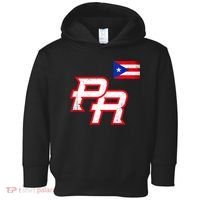 Puerto Rican Baseball Player Puerto Rico Flag Baseball Fans Toddler Hoodie thumb 0
