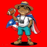 Puerto Rico Coqui Frog Funny Football Santa Hat thumb 1