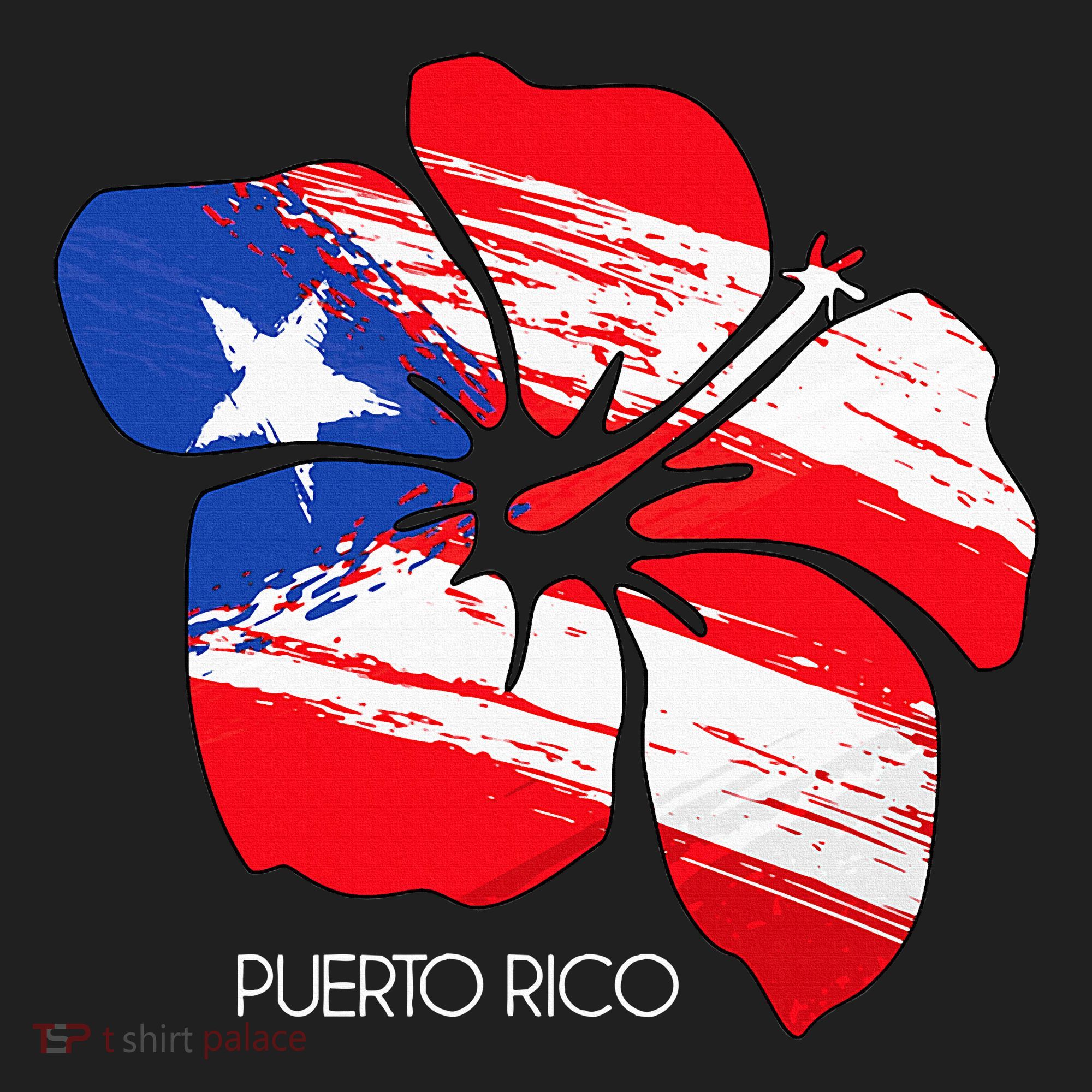 Puerto Rico Culture Roots Amapola Boricua Flag Beanie