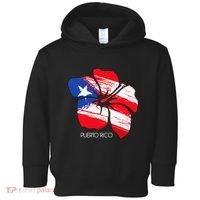 Puerto Rico Culture Roots Amapola Boricua Flag Toddler Hoodie thumb 0