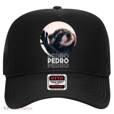 Pedro Racoon Dance Popular Internet Meme Mapache Dance Hat
