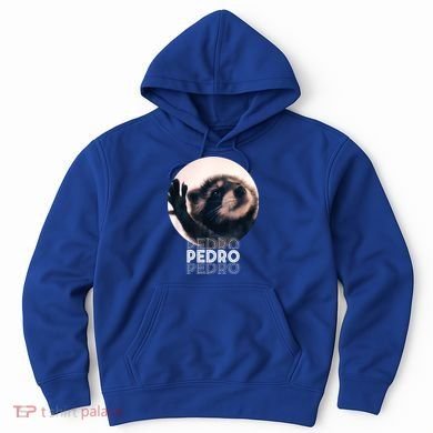 Pedro Racoon Dance Popular Internet Meme Mapache Dance Hoodie