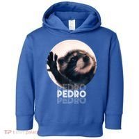 Pedro Racoon Dance Popular Internet Meme Mapache Dance Toddler Hoodie thumb 0