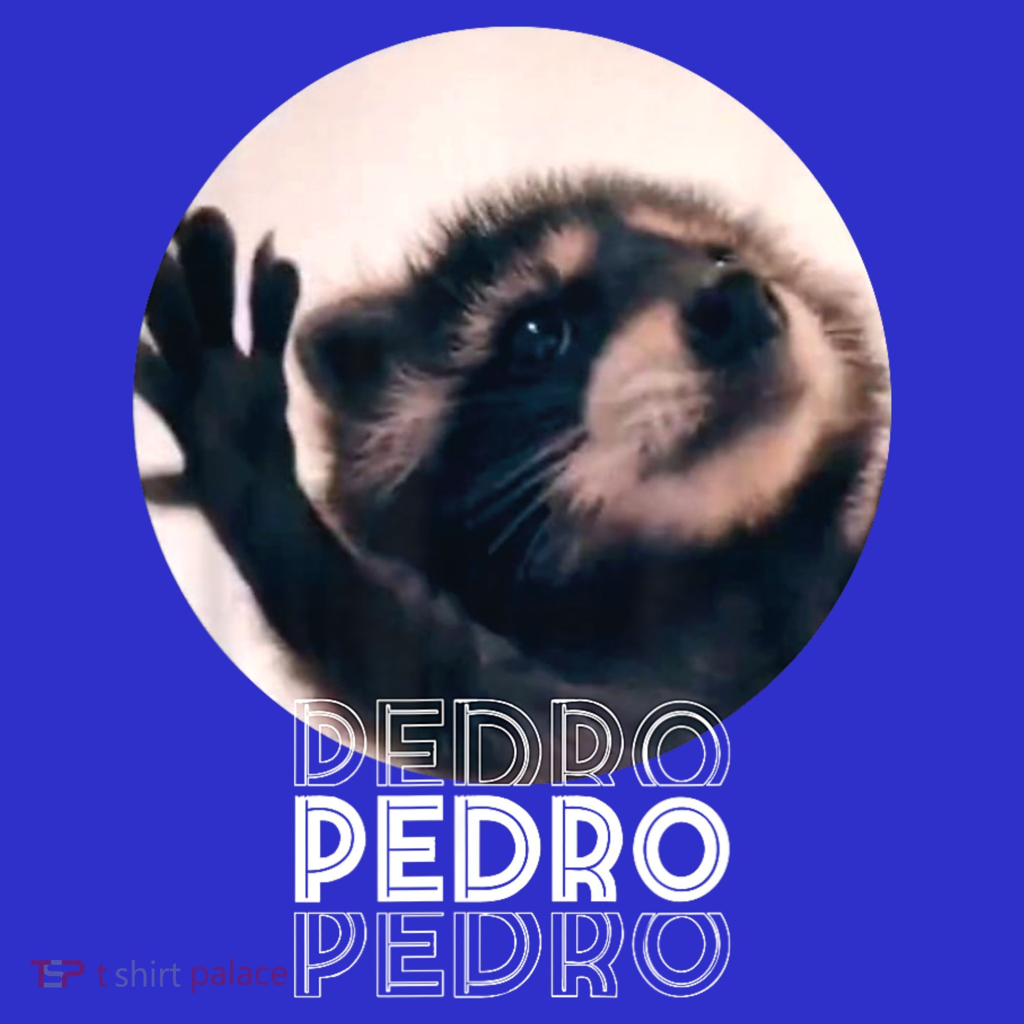 Pedro Racoon Dance Popular Internet Meme Mapache Dance Toddler Hoodie