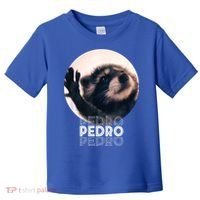 Pedro Racoon Dance Popular Internet Meme Mapache Dance Toddler T-Shirt thumb 0