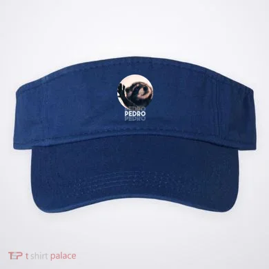 Visor