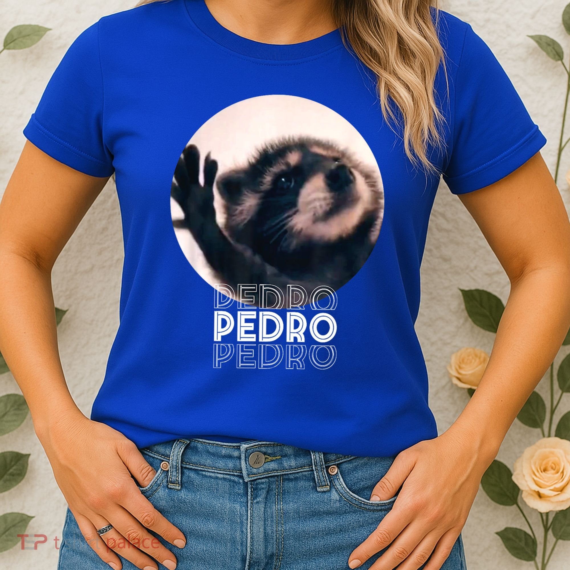 Pedro Racoon Dance Popular Internet Meme Mapache Dance Women's T-Shirt